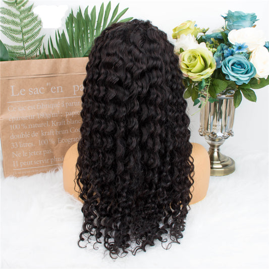 5x5 Lace Front Wigs Human Hair Pre Plucked Wet and Deep Wave Wigs Closure Wigs Human Hair for Black Women